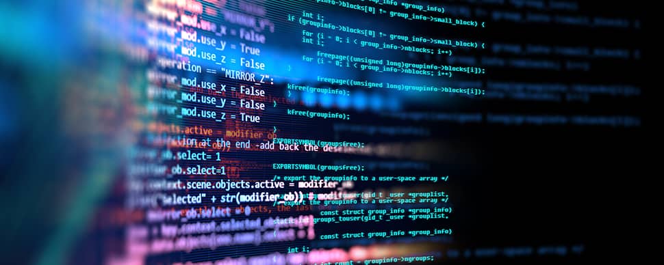 Work remote Software Developer