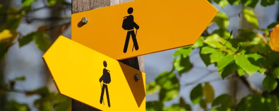 Two yellow hiking signs on a wooden post in a forest setting with green leaves.