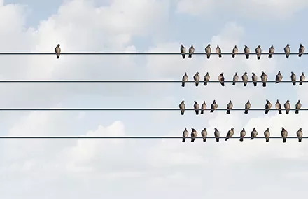 Birds perched on parallel wires against a cloudy sky.