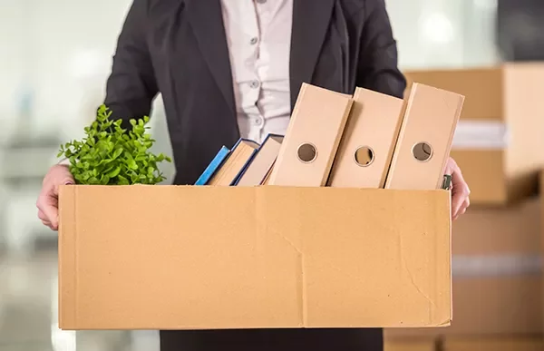 Person holding a box with folders, books, and a plant.